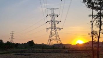 DMETI Member: Power Wheeling Scheme Potentially Increases Electricity Tariffs