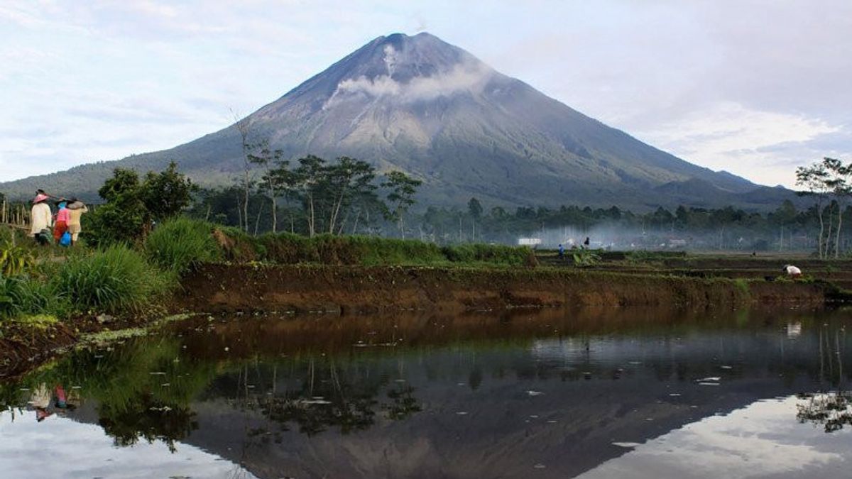 塞梅鲁火山喷发导致大灰雨，居民开始疏散