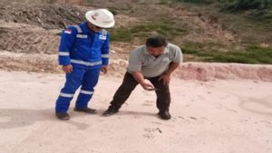 Tapak Besar di Area Migas Siak, BBKSDA Riau Turun Pasang Kamera Jebak