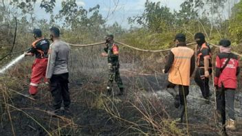 Hotspots Of Forest And Land Fires In East Kalimantan Decreased: Initially 30 Locations, Currently 16