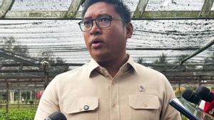 Wamenan: National Food Stock Safe Ahead Of Eid Al-Adha 2025