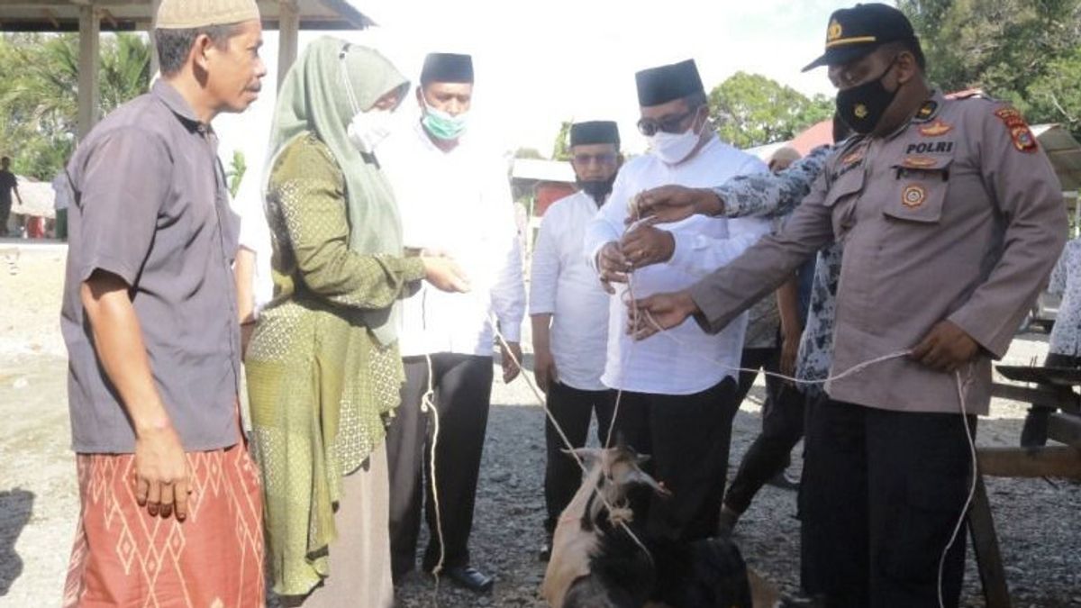 Pemkab Aceh Barat Serahkan Ribuan Itik dan Puluhan Kambing untuk Poktan Panton Reue