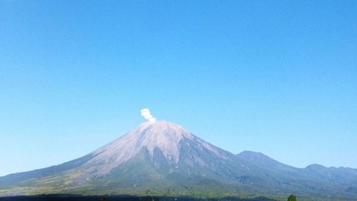 Le mont Semeru a plusieurs éruptions avec des éruptions allant jusqu’à 600 mètres