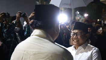 Ada Limitasi Capres-Cawapres Koalisi Gerindra dan PKB, Dasco: Penentuan Ada di Prabowo dan Cak Imin, Bukan Jazilul