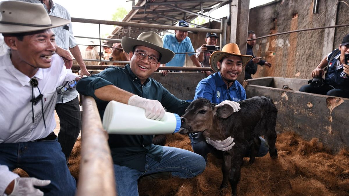 Anies Baswedan Mengaku Tak Berambisi Menang Pilpres 1 Putaran