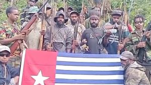 Panglima Kodap XV KKB Lamek Alipky Taplo Tewas dalam Operasi TNI di Kiwirok