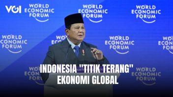 Di Davos, Presiden Prabowo Kutip Pernyataan IMF: Indonesia Menjadi 