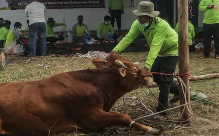 Sebelum Beli Hewan Kurban, Pj Bupati Bekasi Minta Warganya Periksa Dokumen Ternak