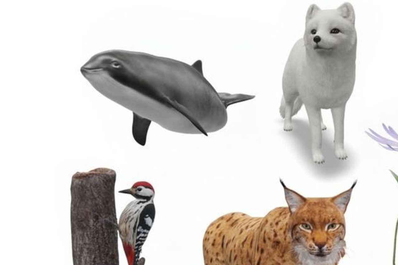 Google Creates Augmented Reality 5 Endangered Animals, Here's How To See It