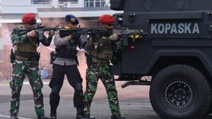 Mengintip Pengamanan KTT G20 Khusus di Bali: TNI Terjunkan 8.000 Prajurit, Polri 8.191 Personel 