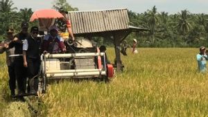 Pasaman Barat Peroleh Bantuan Kementan Guna Dukung Swasembada Pangan