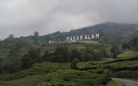 Status Waspada, BPBD Pagaralam Imbau Pendaki Tak Mendekati Kawah Dempo Radius 1 Km