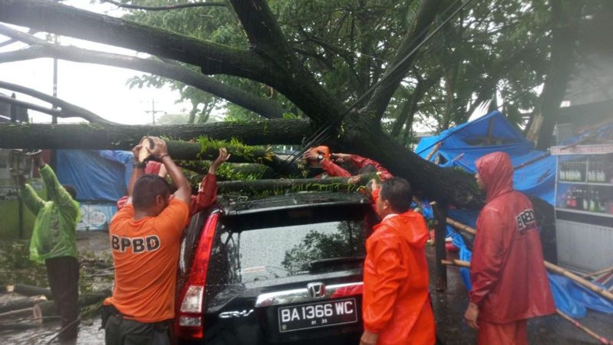 Hujan Disertai Angin Kencang Sedari Pagi, Pohon Tumbang Timpa Mobil di Padang 