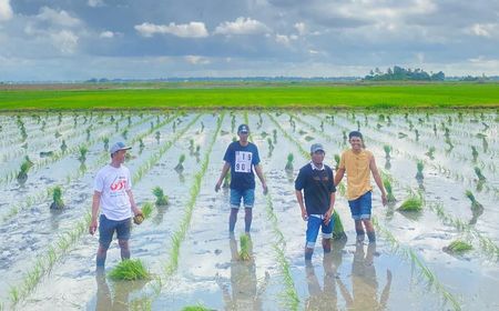 Kata Pakar Kebijakan Distribusi Pupuk Langsung ke Petani Dinilai Tepat