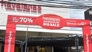 Havaianas Warehouse Big Sale 2024: Nikmati Waktu Santai Bersama Havaianas