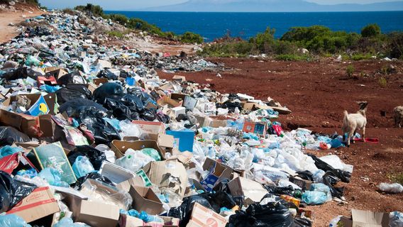7 Types Of Plastic Waste, Examples Of Products, And How To Manage It To Not Be Environmentally Diginary
