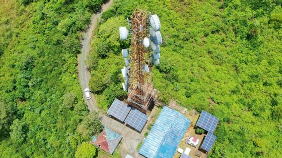 Mitratel Builds 19 Telecommunication Towers At IKN With A Camouflage Design Concept