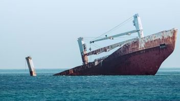マレーシア、5人の国民がギリシャの沈没船の犠牲者であることを確認