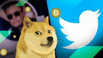 Twitter Stop MyDogeTip For Spam Warring