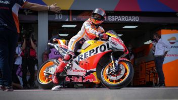 Marc Marquez Can't Compete For The Podium Yet, Repsol Honda Manager Alberto Puig: We Need More Time