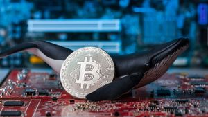 Pasar Kripto Pulih, Harga Bitcoin Naik Setelah Para <i>Whale</i> Nyerok BTC