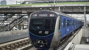 Kamis Pagi, MRT Gangguan dan Terhenti di Jalur: Penumpang Dievakuasi