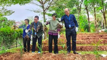 世卫组织赞赏印度尼西亚在开发现代草药方面的创新