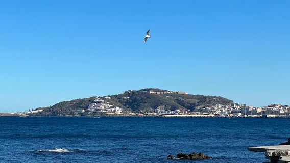 モロッコ、スペインのセウタへの不法移民の扇動者152人を逮捕