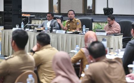 Ada 5 Kabupaten dengan Desa Kategori Miskin Ekstrem, Gubernur Sulsel Bakal Beri Bantuan Keuangan