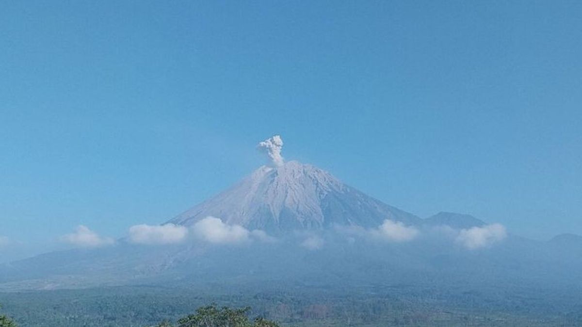 Ce matin, le mont Semeru est de retour en éruption avec une éruption allant jusqu'à 800 mètres