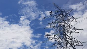 PLN Supports Policy Of Freeing Electricity Costs