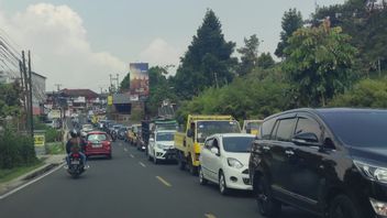 Even Though It's Odd-even, The Puncak-Cianjur Route Is Super Busy, The Car Can Stop For Tens Of Minutes