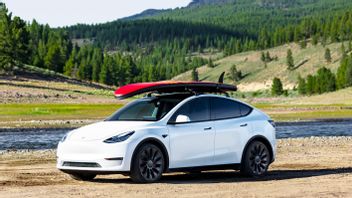 Jadi Model Mobil Terlaris di China, Tesla Rencanakan Pembaruan pada Model Y