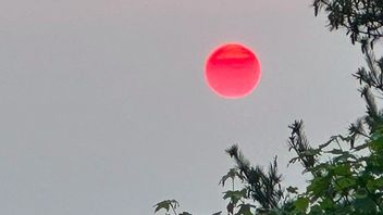 The Phenomenon Of The Red Sun In America Looks Charming, But The Cause Makes You Concerned