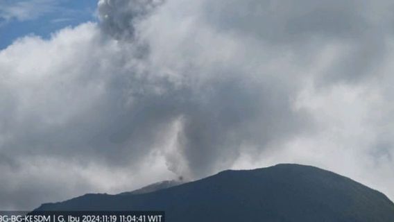 Suara Gemuruh Erupsi Gunung Ibu Terdengar Kuat