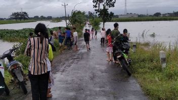 Curah Hujan Tinggi, Tiga Desa di Kabupaten Kudus Terendam Air