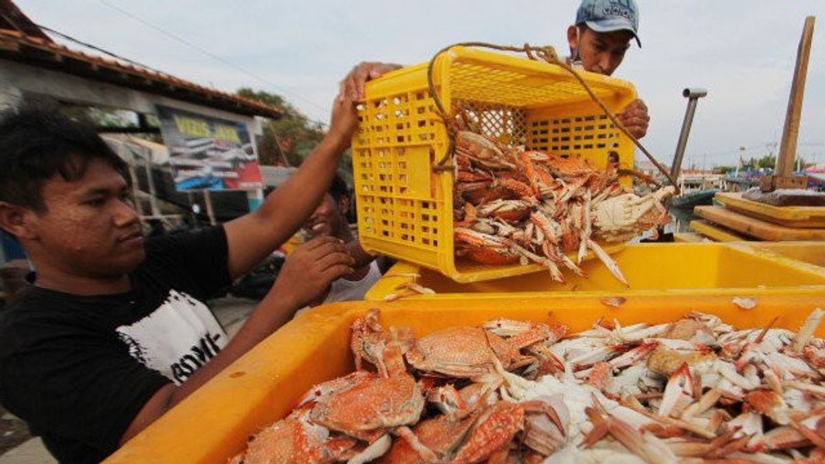 楠榜省政府呼吁海洋污染的威胁影响螃蟹栖息地