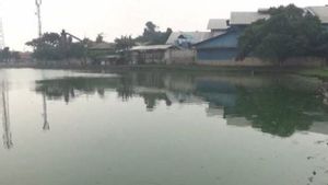 Lima Perusahaan di Tangerang Diduga Cemari Situ Cangkring