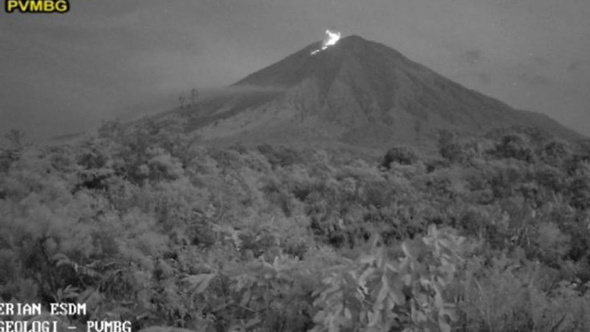 L’éruption du mont Semeru avec une éruption allant jusqu’à 400 mètres