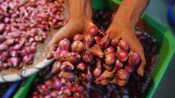 an : les prix des denrées alimentaires du vendredi 3 janvier : les oignons rouges atteignent 40 920 IDR par kg et la consommation de sucre de 17 960 IDR par kg