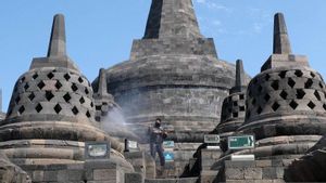 PT TWC Gelar Kajian Lapangan Kunjungan Wisata Naik Candi Borobudur