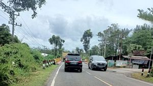 Mudik Sumatera Selatan Lebaran 2022; Jalur Lintas Tengah Kabupaten OKU Sumsel Mulai Dipadati pada H-6 Lebaran