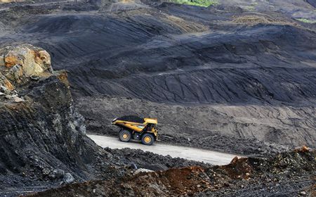 Bukit Asam Bangun Pilot Plant Wood Pellet untuk Kembangkan Biomassa