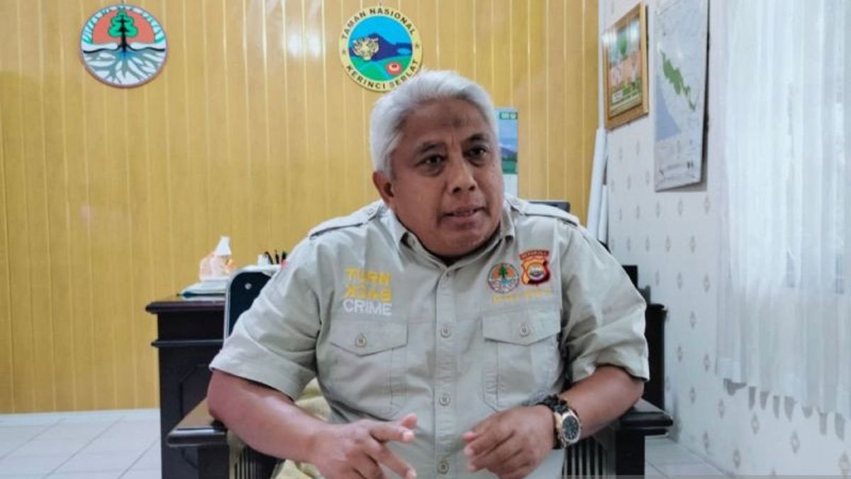 Populasi Harimau Sumatera dalam TNKS Diperkirakan Lebih dari 150 Ekor