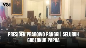 Presiden Prabowo Subianto Berikan Arahan ke Kepala Daerah Papua Terkait Percepatan Otsus Papua