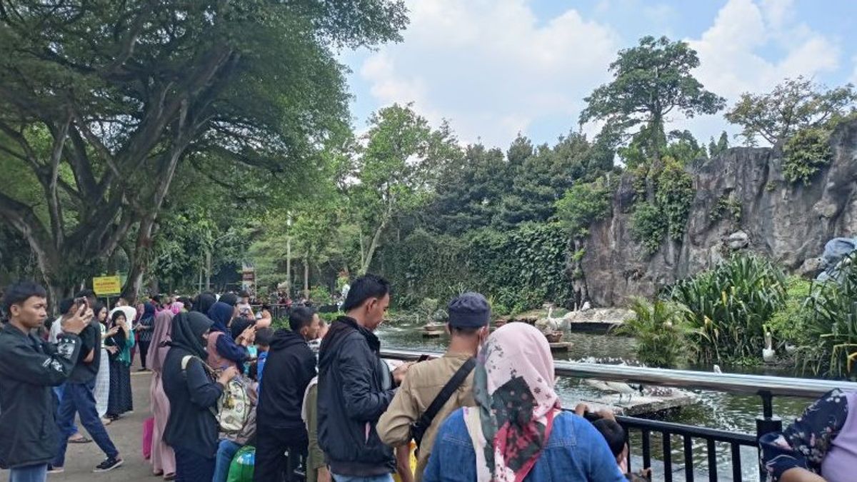 Ragunan Is Surrounded By Visitors, The Manager Prepares This So That Animals Don't Get Stressed