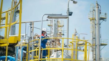 Pertamina Refinery Produces 14.5 Million LS MFO Barrels Throughout 2024