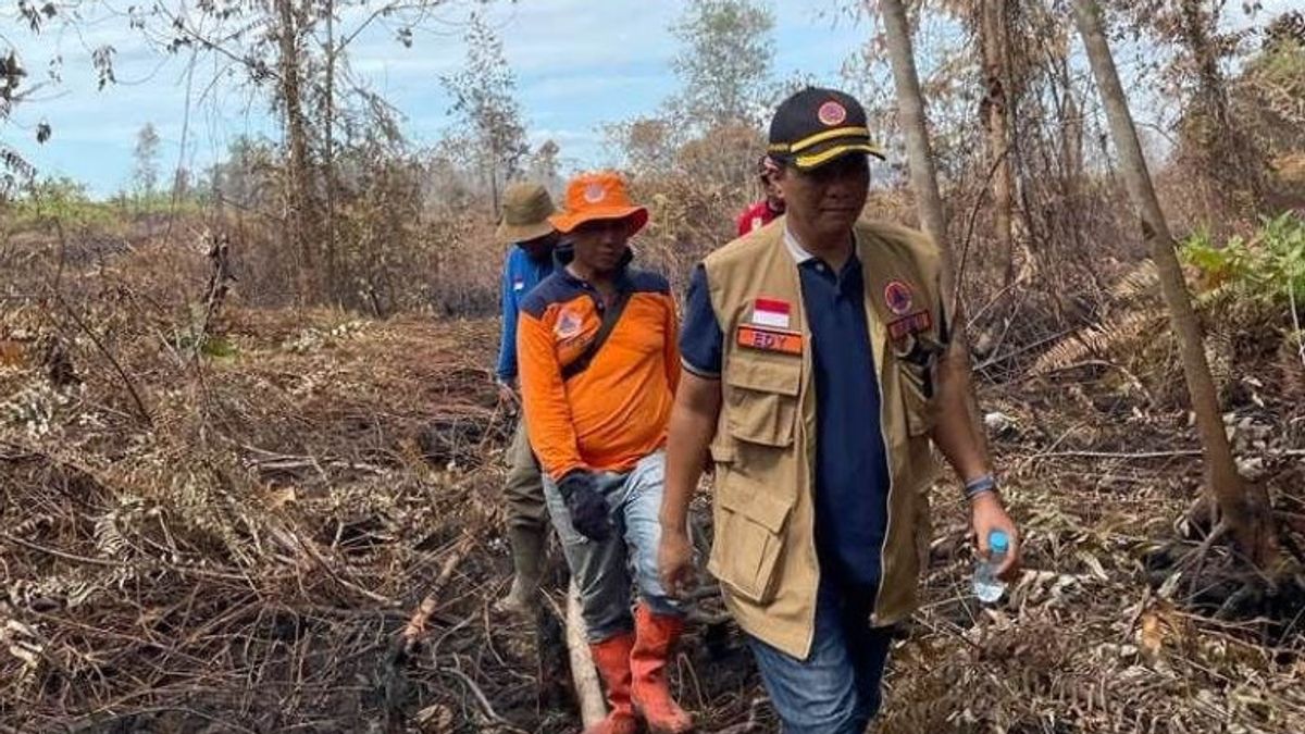 Pekanbaru dan Bengkalis Tetapkan Status Siaga Darurat Karhutla