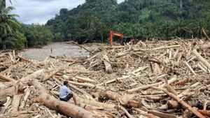 Bareskrim Selidiki Asal Kayu Gelondongan yang Terbawa Banjir di Sumatera