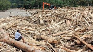 IPB: Material Kayu di Lokasi Banjir Bandang Indikasikan Kerusakan Lingkungan Serius